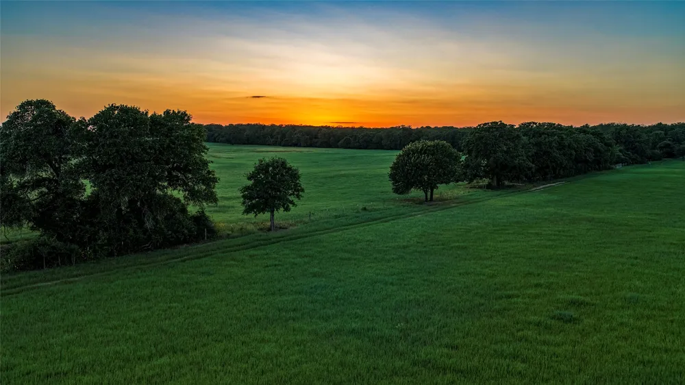 1462 County Road 313 Lexington, TX 78947