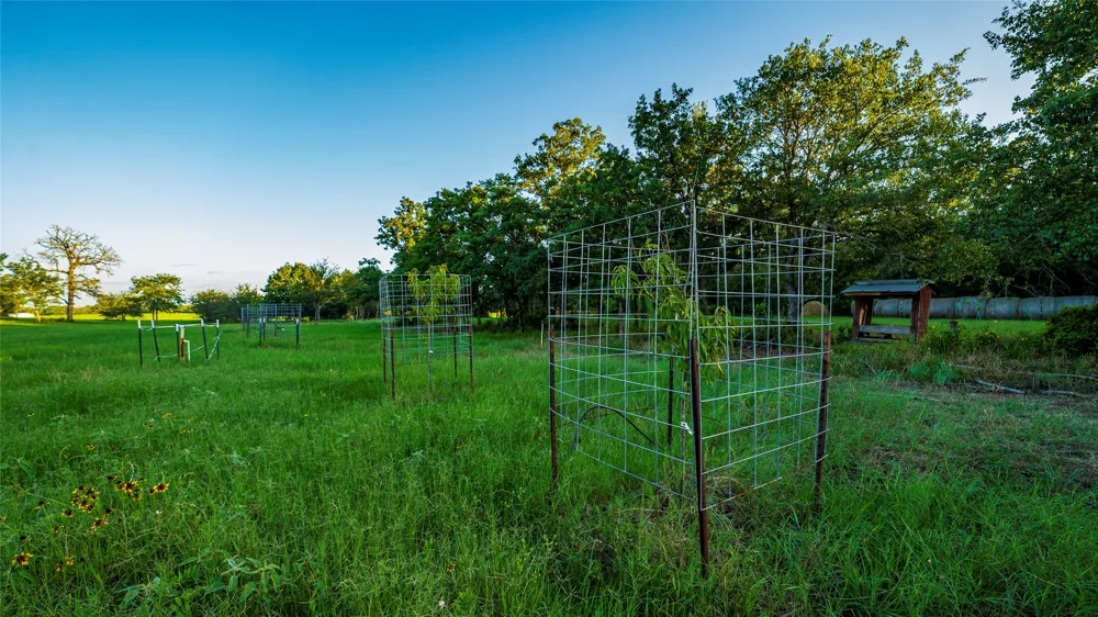 1462 County Road 313 Lexington, TX 78947