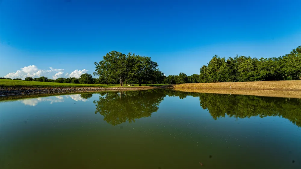 1462 County Road 313 Lexington, TX 78947