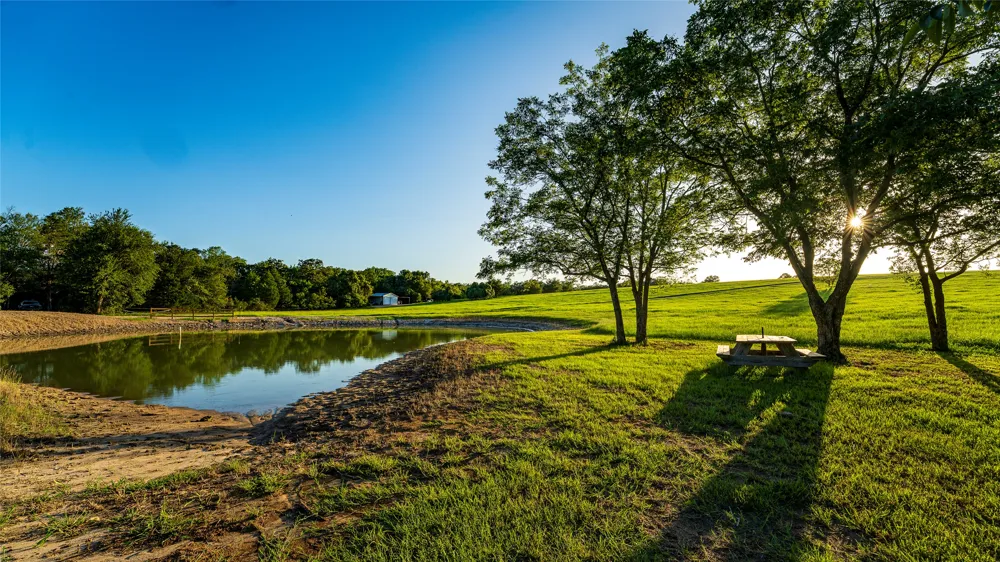 1462 County Road 313 Lexington, TX 78947