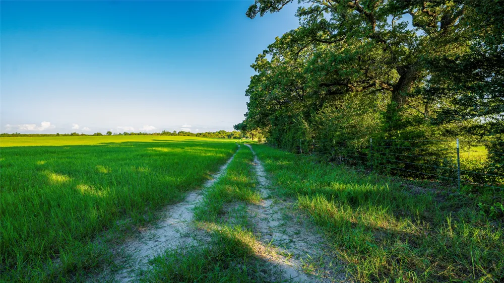 1462 County Road 313 Lexington, TX 78947
