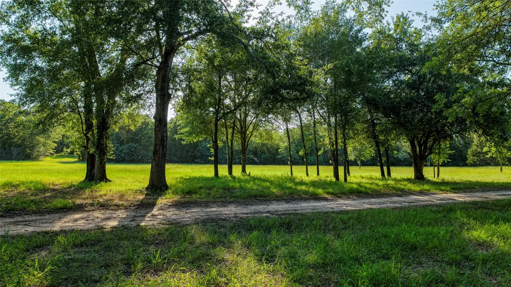 1462 County Road 313 Lexington, TX 78947