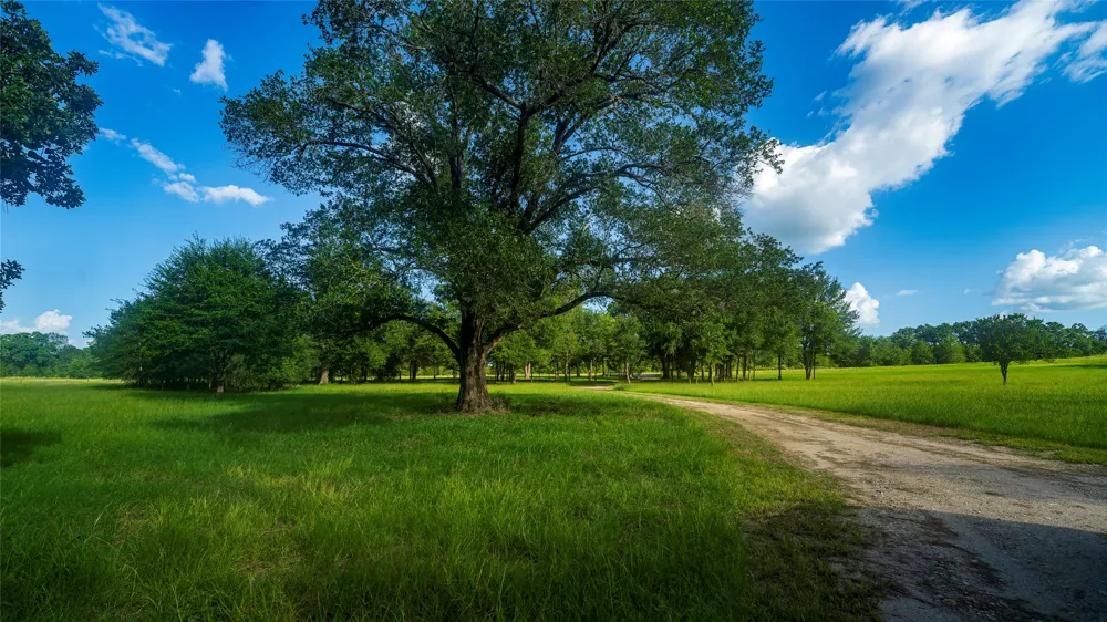 1462 County Road 313 Lexington, TX 78947