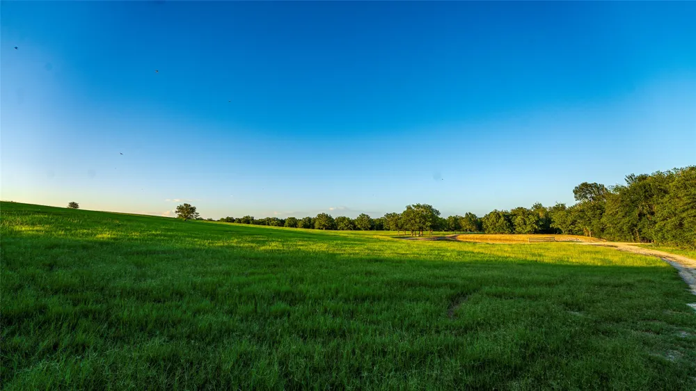 1462 County Road 313 Lexington, TX 78947