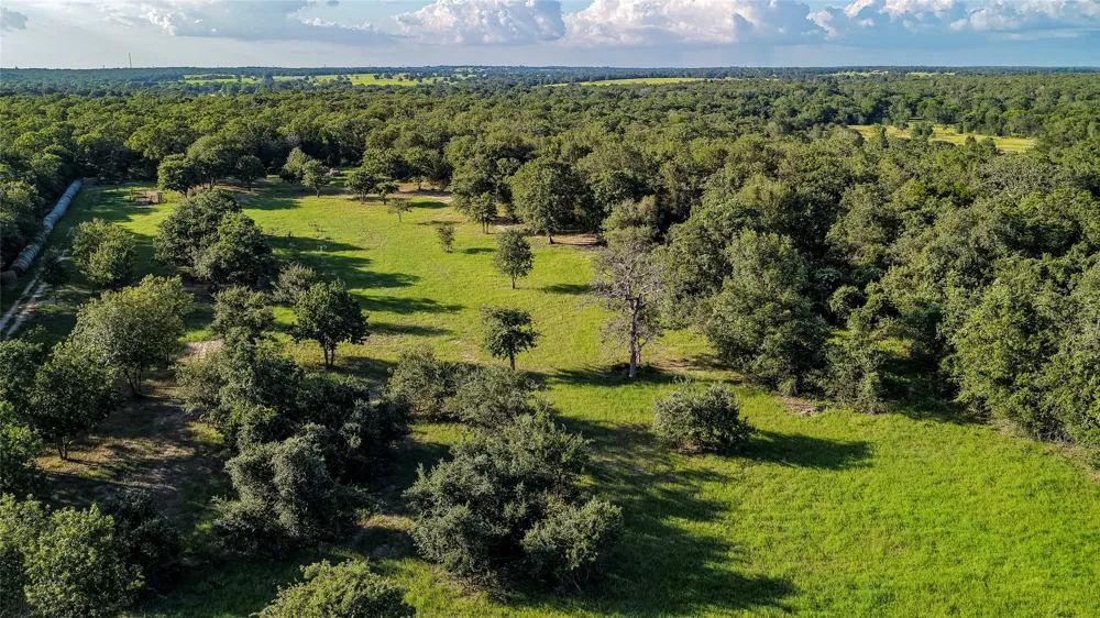 1462 County Road 313 Lexington, TX 78947