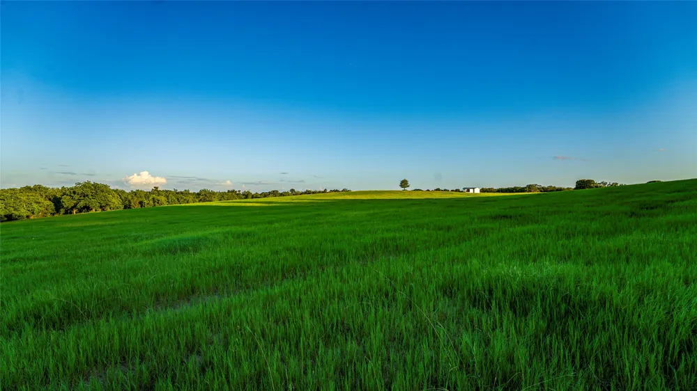 1462 County Road 313 Lexington, TX 78947