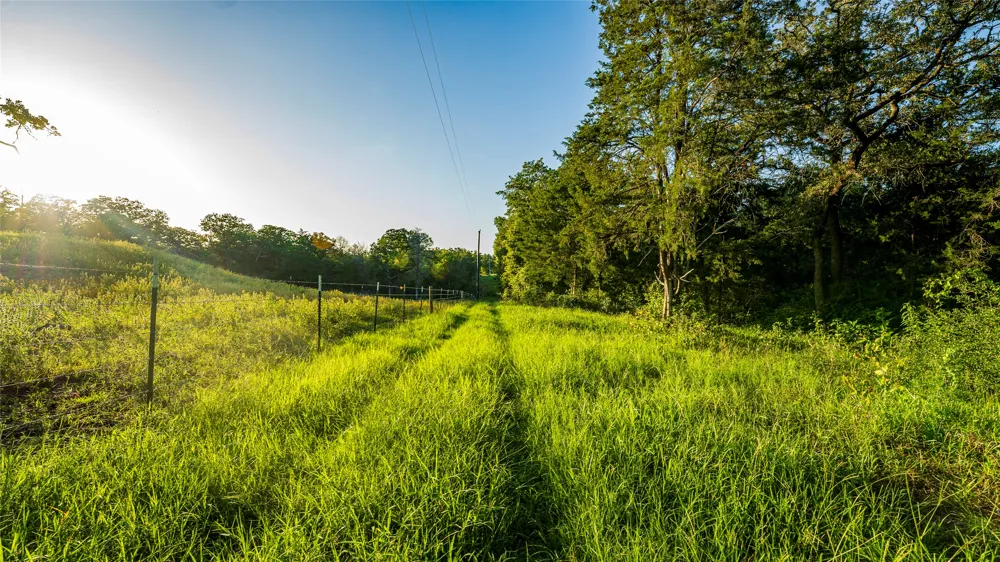 1462 County Road 313 Lexington, TX 78947