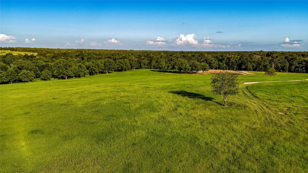 1462 County Road 313 Lexington, TX 78947