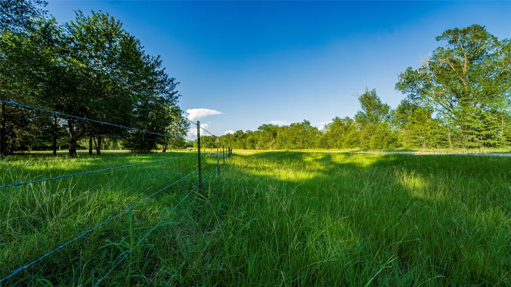 1462 County Road 313 Lexington, TX 78947