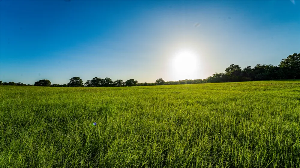 1462 County Road 313 Lexington, TX 78947