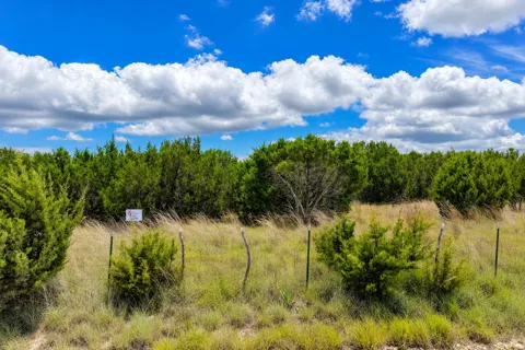 3606 County Road 421