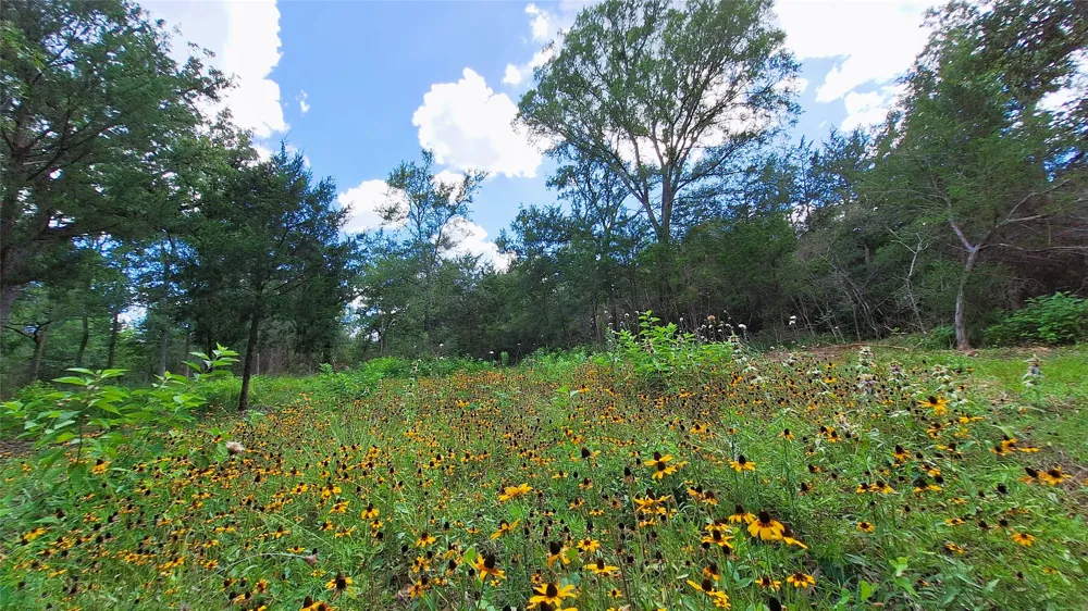 1014 Beaver Lake Drive Caldwell, TX 77836