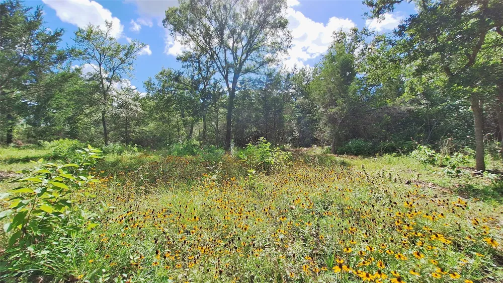 1014 Beaver Lake Drive Caldwell, TX 77836