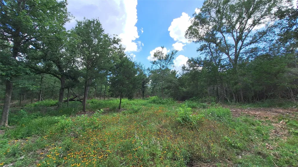 1014 Beaver Lake Drive Caldwell, TX 77836