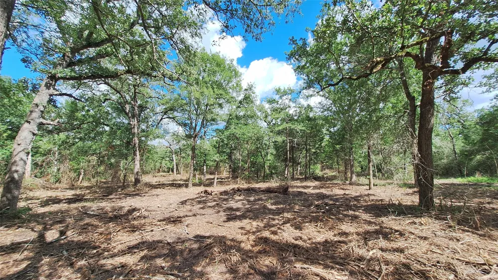 1014 Beaver Lake Drive Caldwell, TX 77836