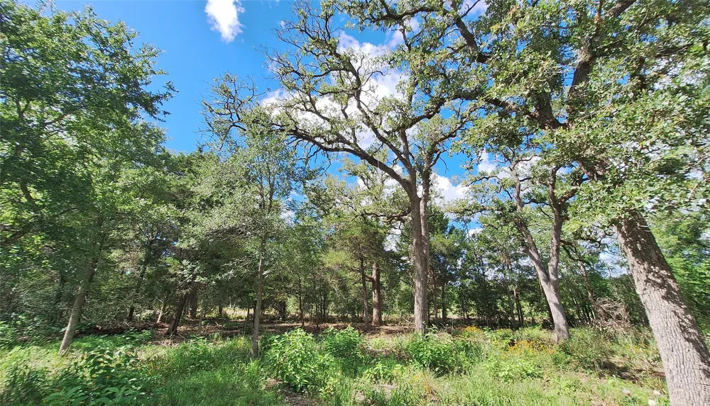 1014 Beaver Lake Drive Caldwell, TX 77836