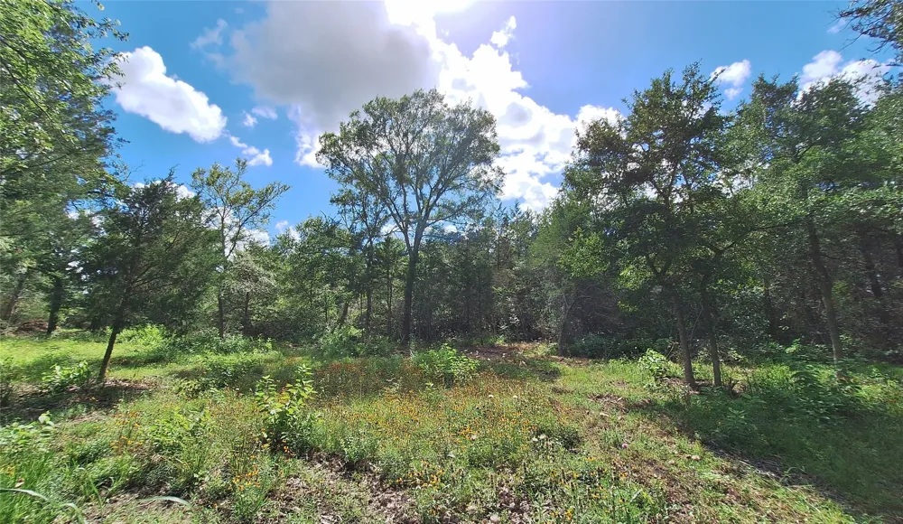 1014 Beaver Lake Drive Caldwell, TX 77836