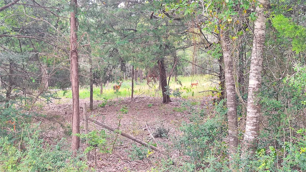 1014 Beaver Lake Drive Caldwell, TX 77836