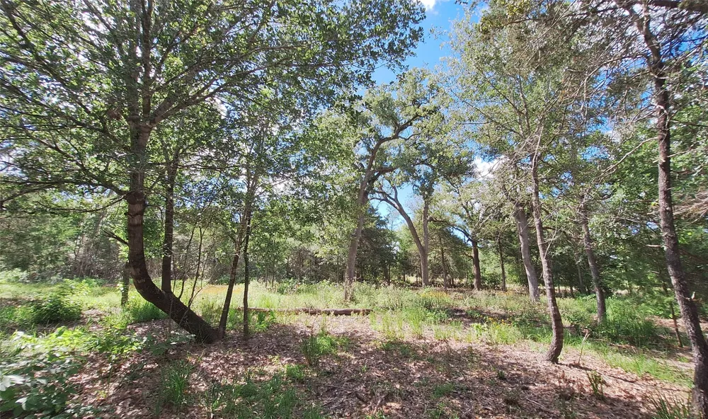 1014 Beaver Lake Drive Caldwell, TX 77836