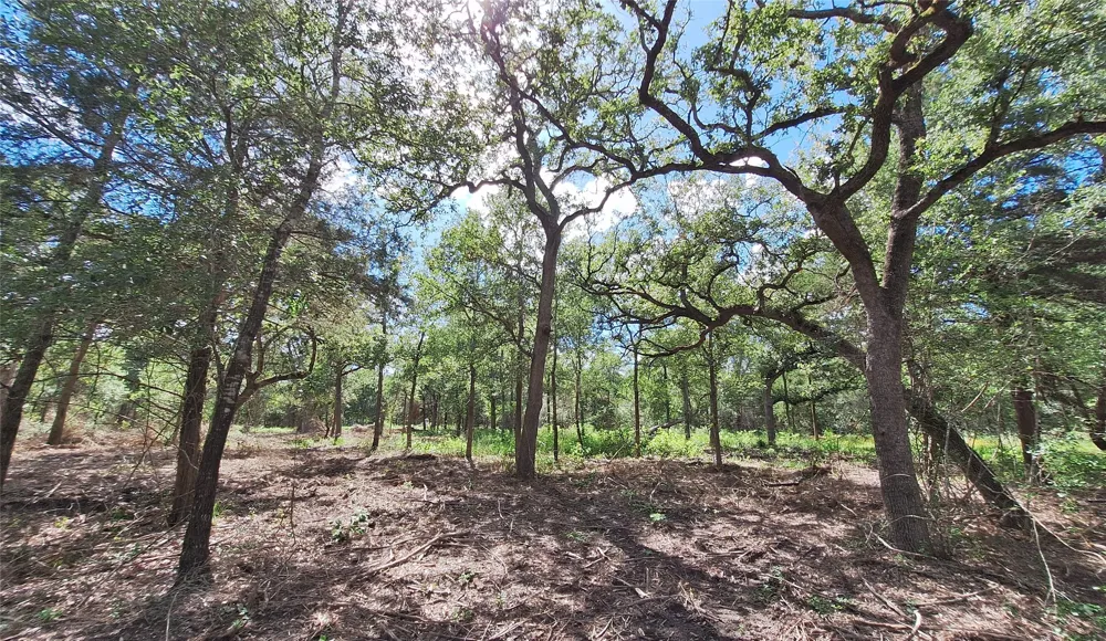 1014 Beaver Lake Drive Caldwell, TX 77836