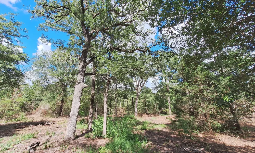 1014 Beaver Lake Drive Caldwell, TX 77836