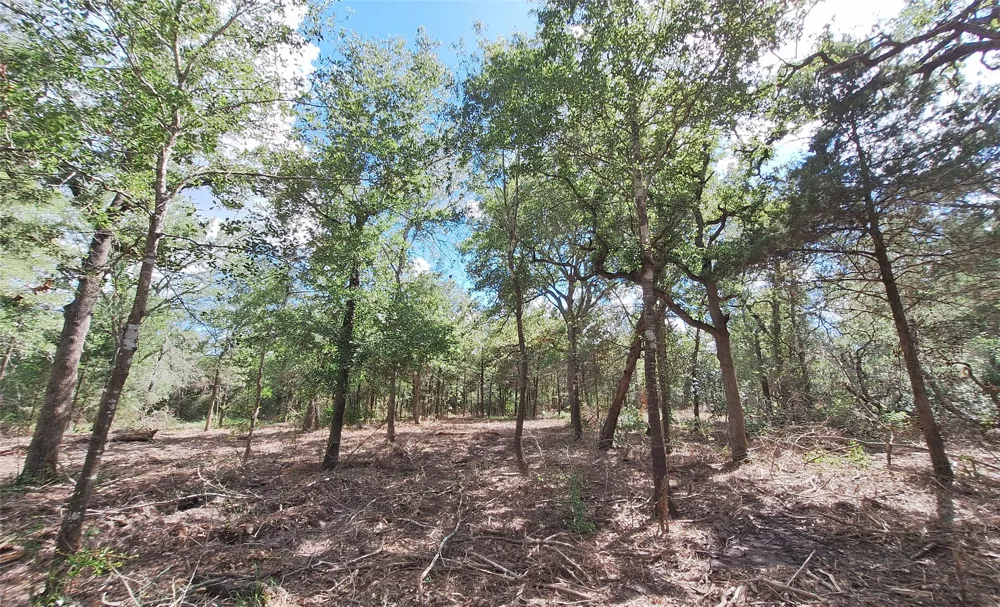 1014 Beaver Lake Drive Caldwell, TX 77836