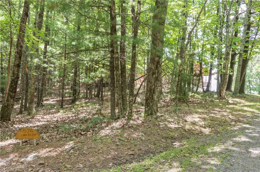 576 Lake Vista Drive Glade Valley, NC 28627
