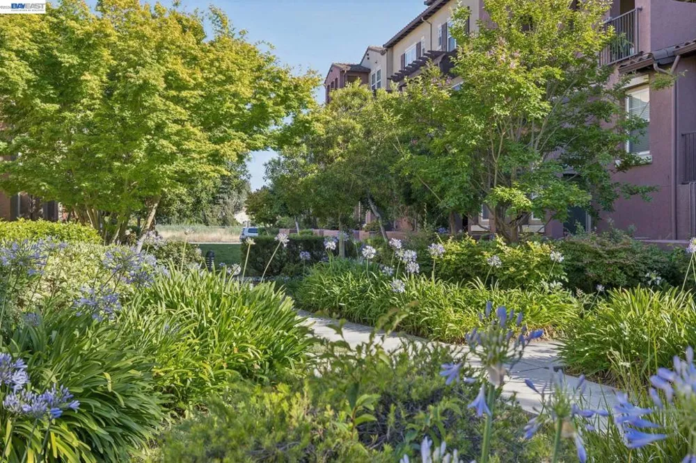 1796 Camino Leonor San Jose, CA 95131