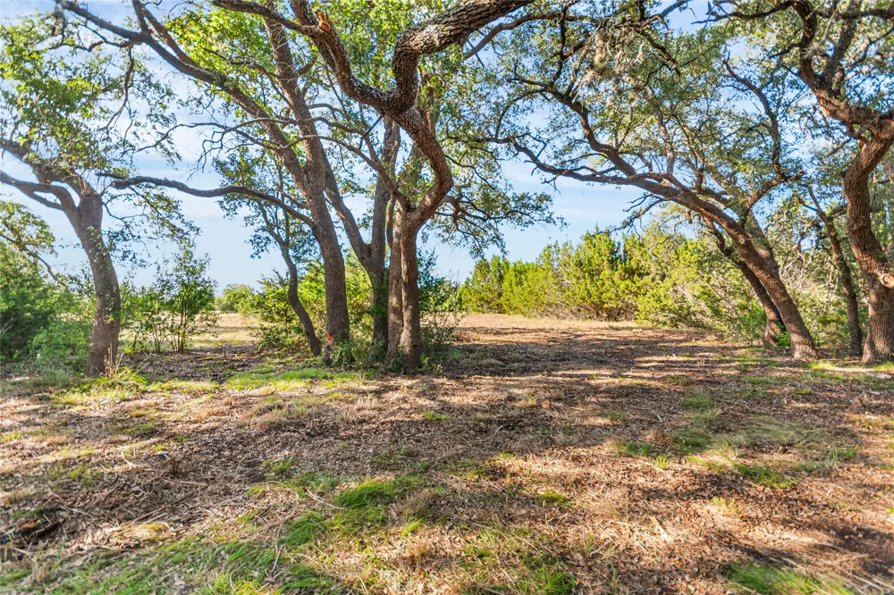 160 Brumley View Court Marble Falls, TX 78654