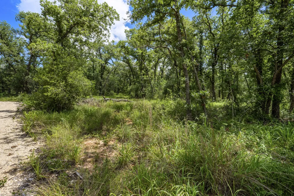 868 County Road 405 Buckholts, TX 76518