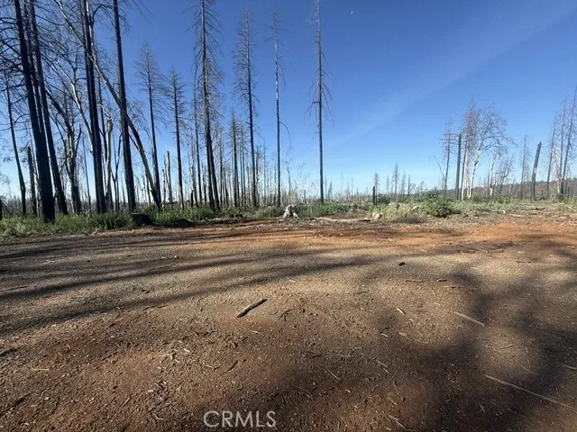 1722 Vilas Road Chico, CA 95973