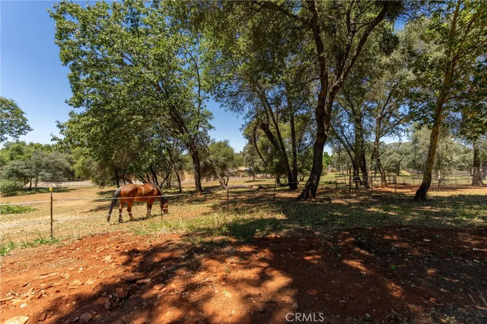 3463 Cherokee Road Oroville, CA 95965