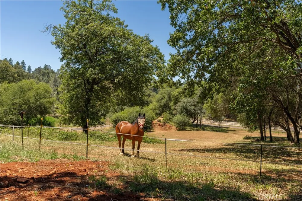 3463 Cherokee Road Oroville, CA 95965