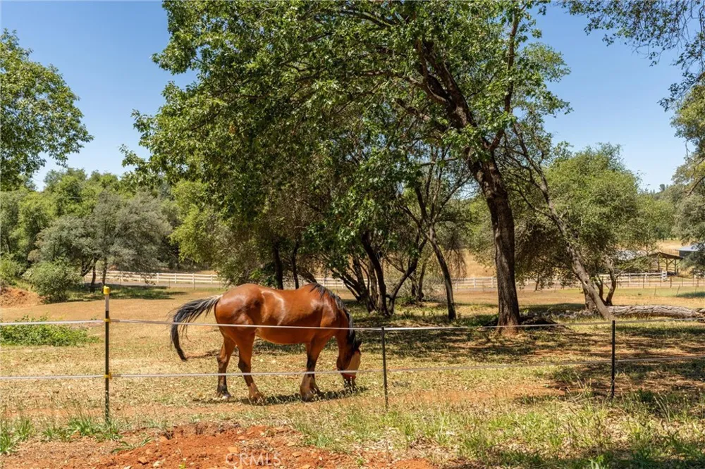 3463 Cherokee Road Oroville, CA 95965