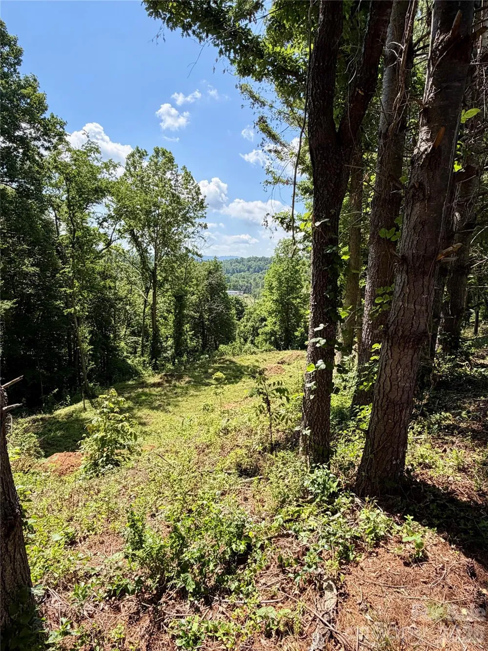 12 Willow Knoll Drive Weaverville, NC 28787