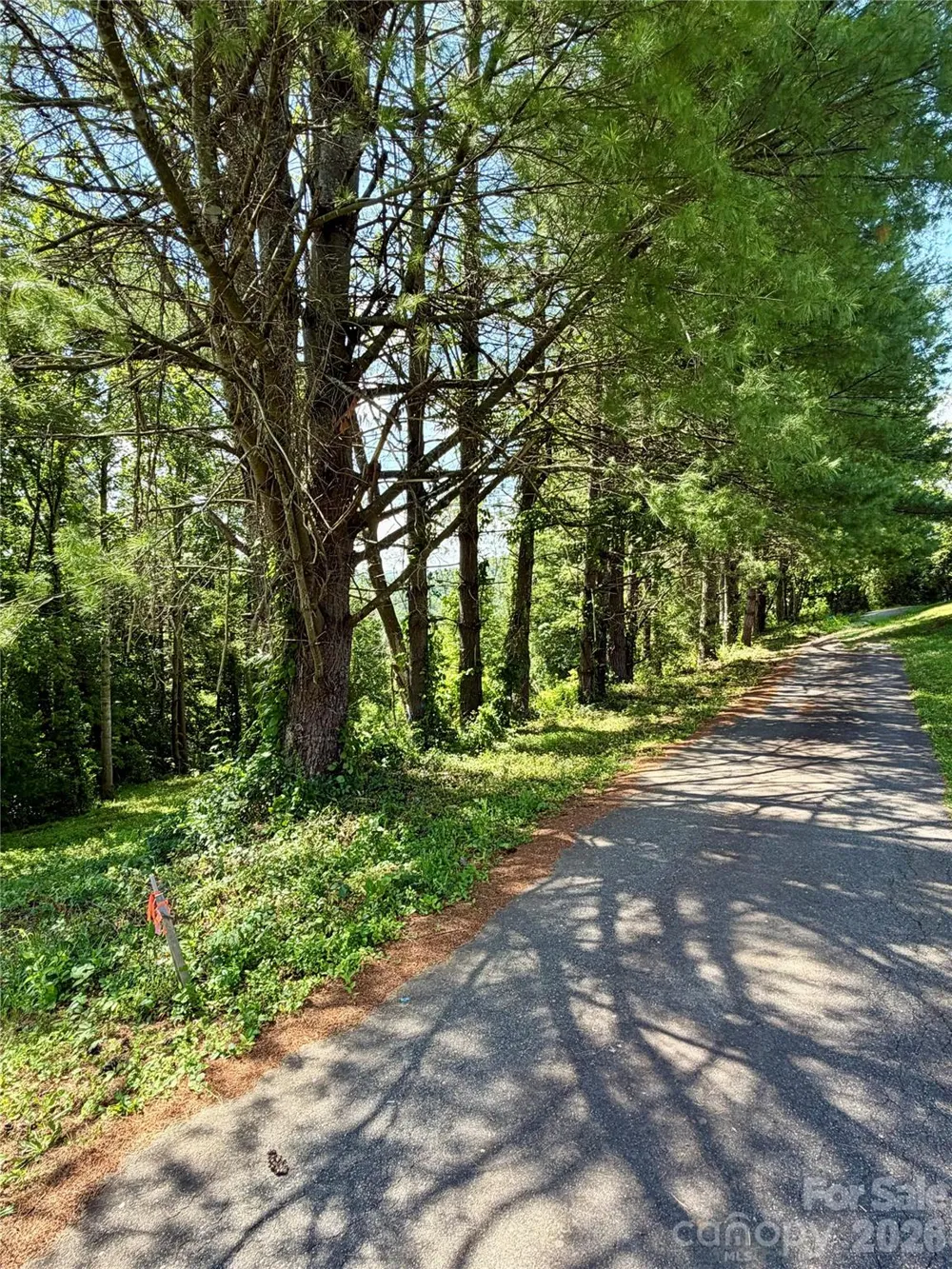 12 Willow Knoll Drive Weaverville, NC 28787