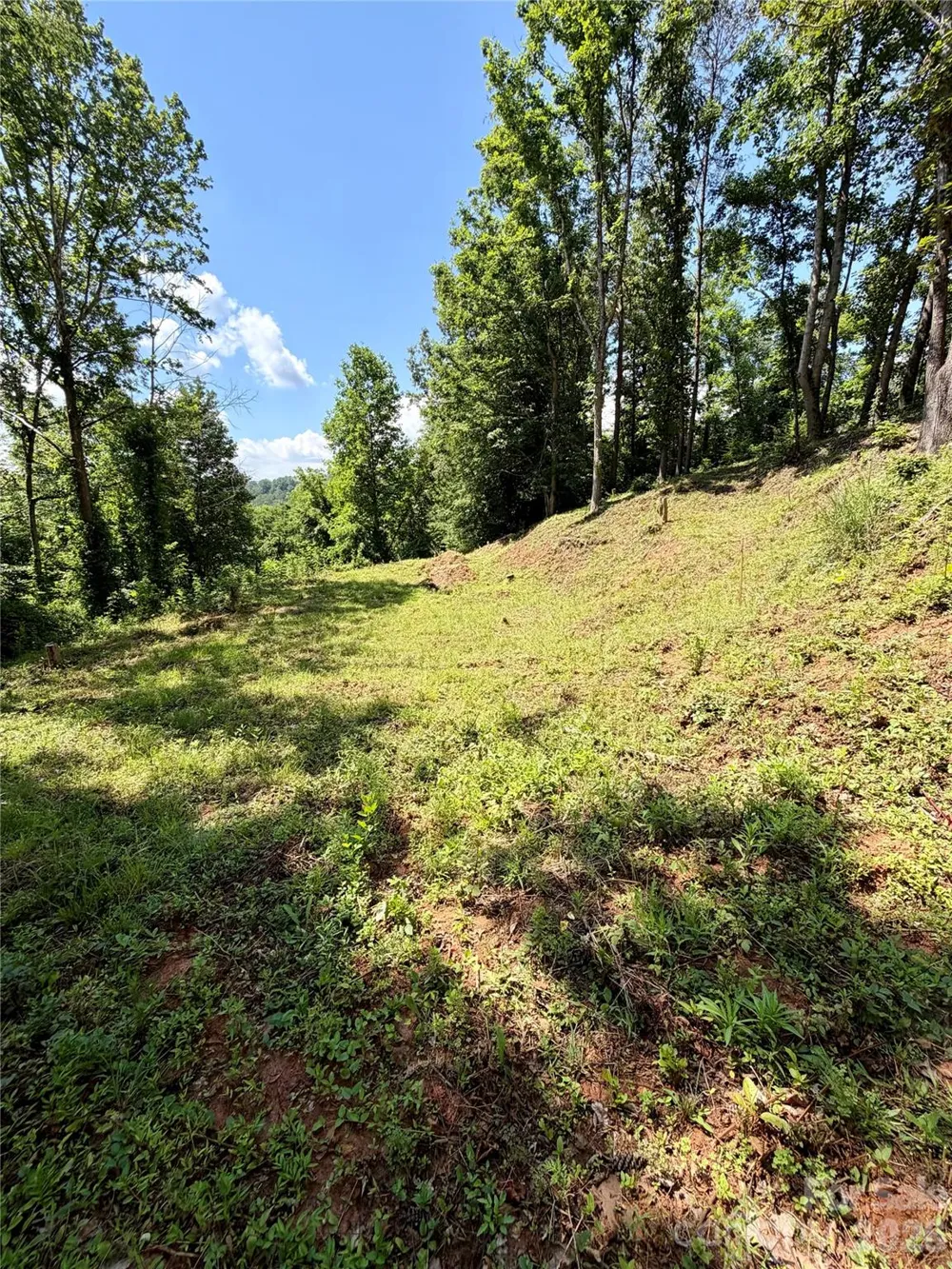 12 Willow Knoll Drive Weaverville, NC 28787