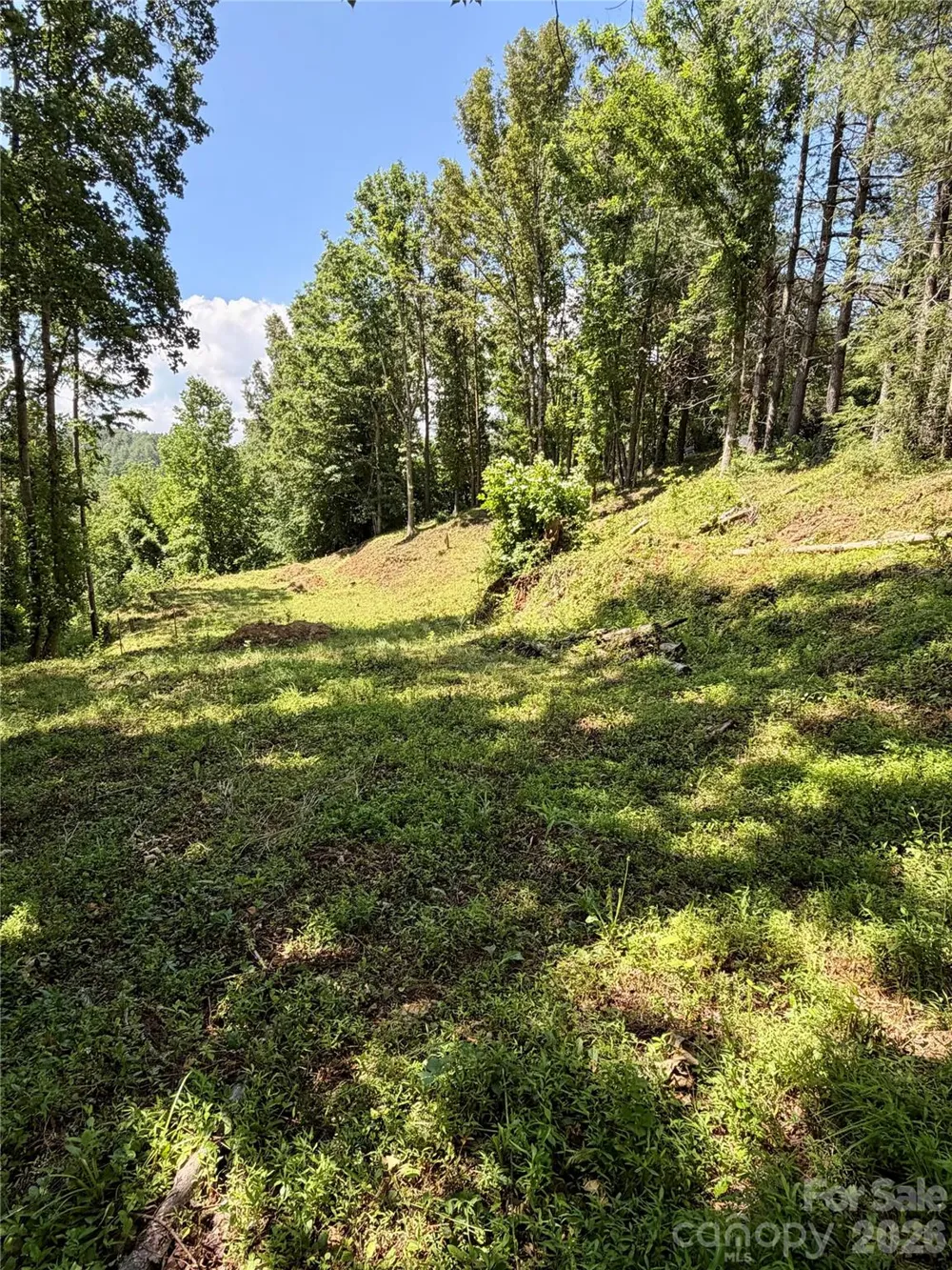 12 Willow Knoll Drive Weaverville, NC 28787