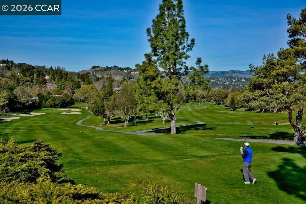 3024 Grey Eagle Dr Walnut Creek, CA 94595