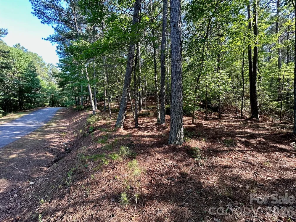 2143 Lighthouse Lane Connelly Springs, NC 28612