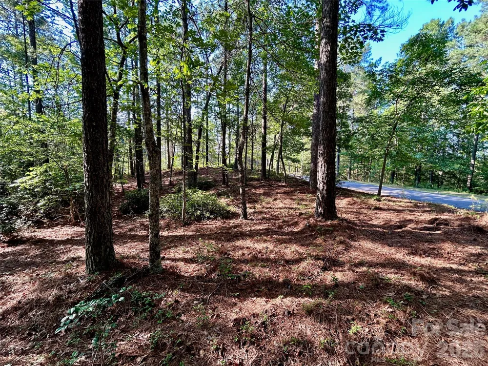 2143 Lighthouse Lane Connelly Springs, NC 28612