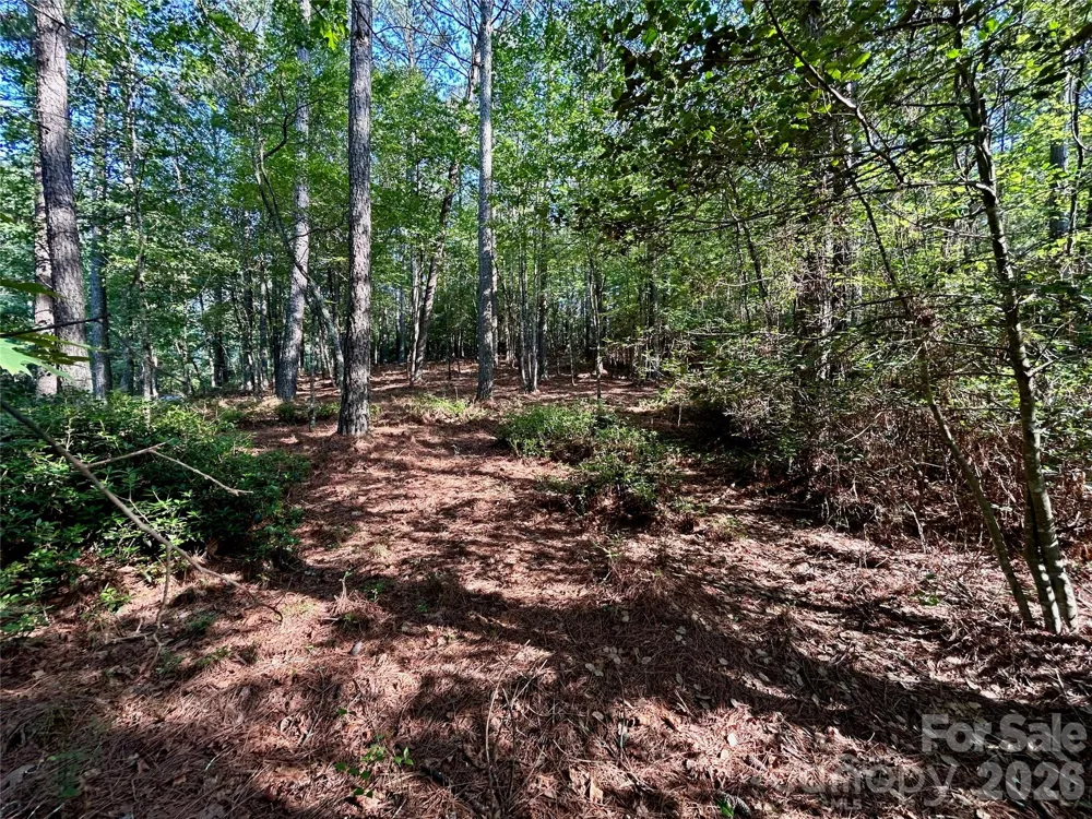 2143 Lighthouse Lane Connelly Springs, NC 28612