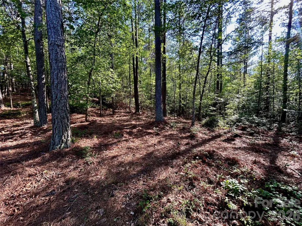 2143 Lighthouse Lane Connelly Springs, NC 28612