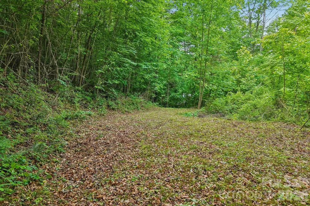 00 Sequoyah Drive Waynesville, NC 29786