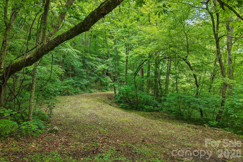 00 Sequoyah Drive Waynesville, NC 29786