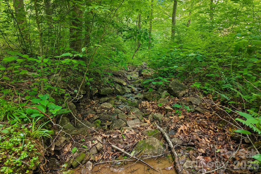 00 Sequoyah Drive Waynesville, NC 29786
