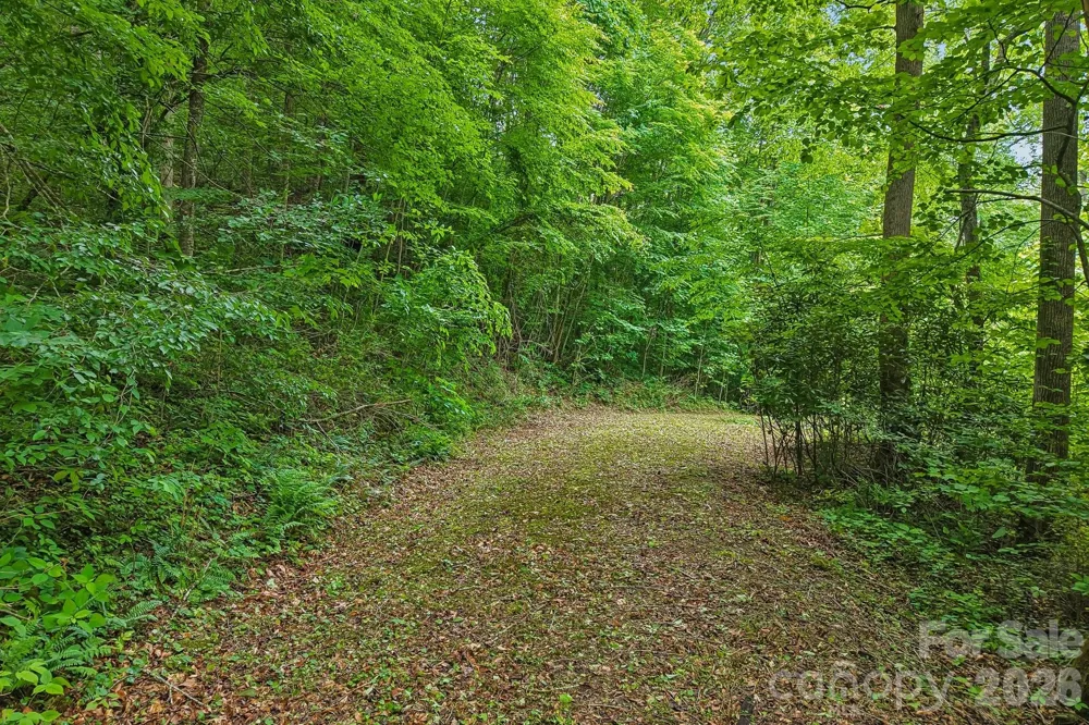 00 Sequoyah Drive Waynesville, NC 29786