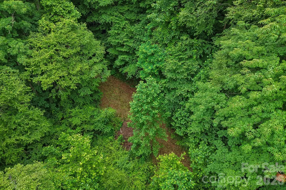 00 Sequoyah Drive Waynesville, NC 29786