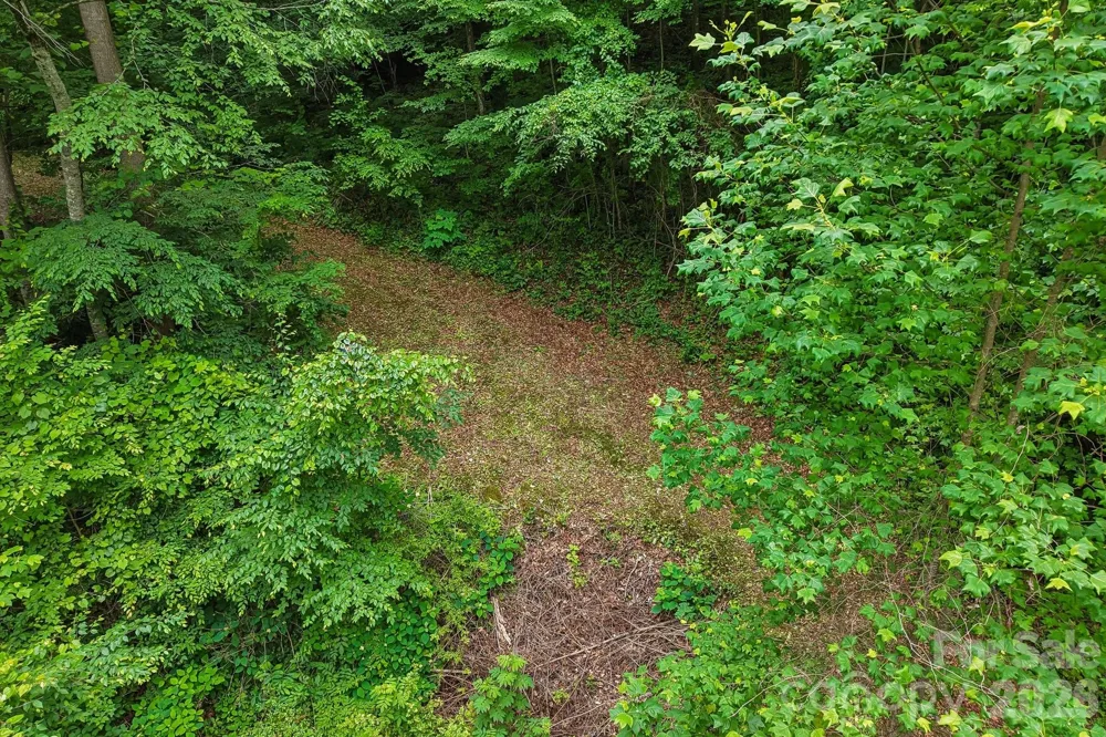 00 Sequoyah Drive Waynesville, NC 29786