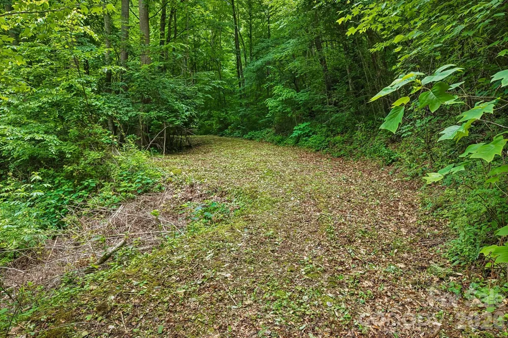 00 Sequoyah Drive Waynesville, NC 29786